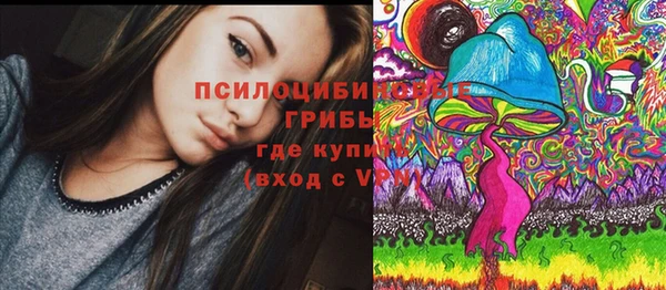 spice Алексеевка
