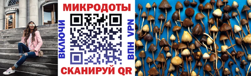Галлюциногенные грибы Psilocybe Лабытнанги