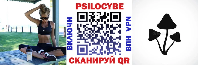 omg как войти  Лабытнанги  Псилоцибиновые грибы Psilocybe 